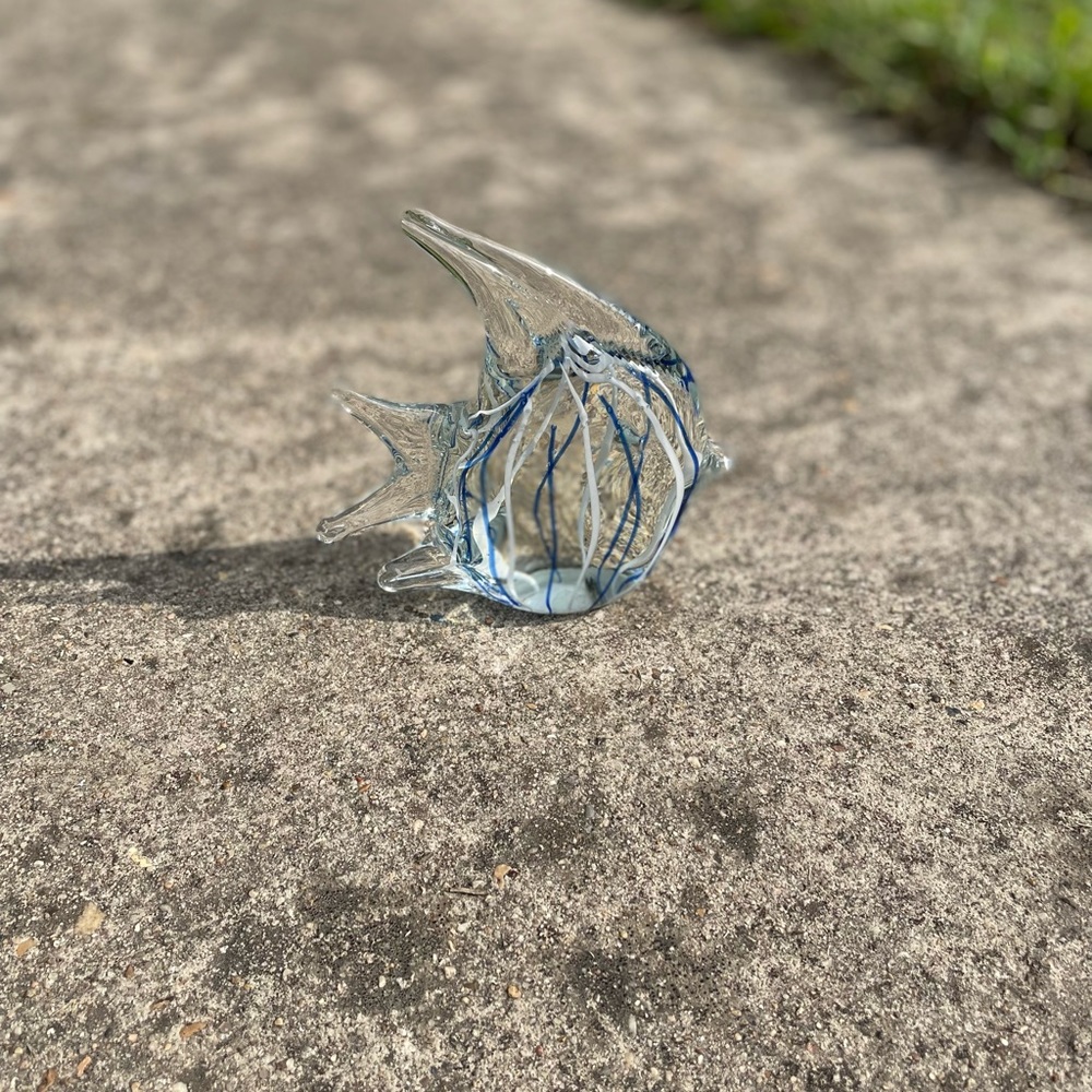 Glass Fish - Picture 7 of 11